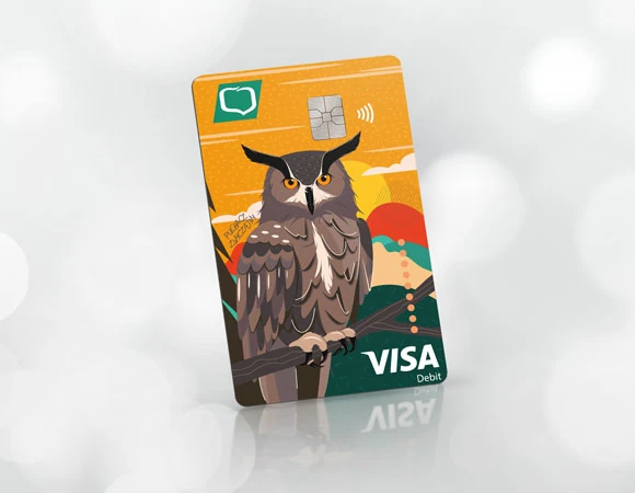 Visa Classic