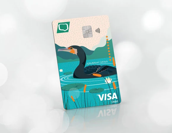 Visa Euro