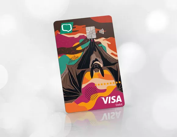 Visa Junior