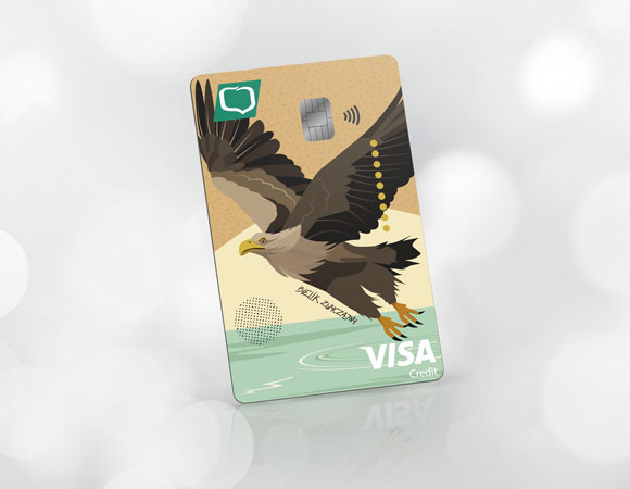 Karta Visa Business Credit