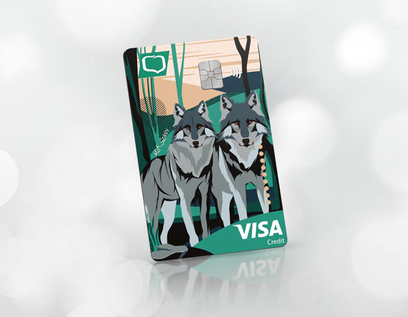 Karta kredytowa Visa Credit