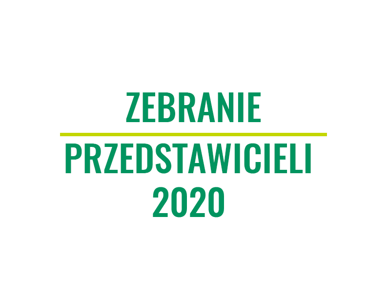Zebranie Przedstawicieli 2020